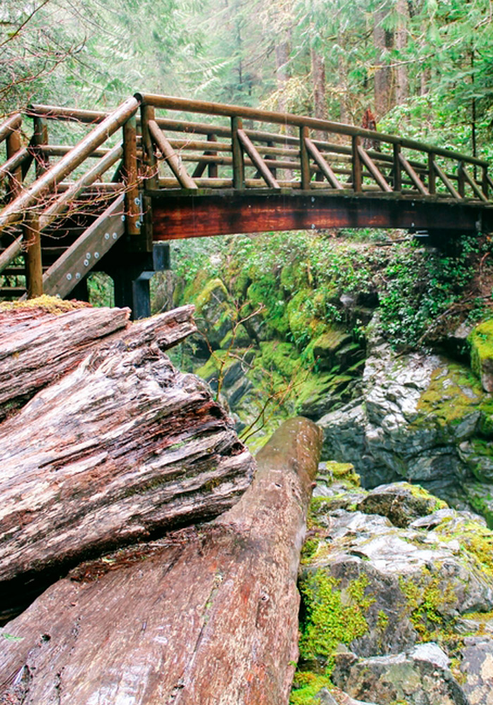 wooden bridge over rocky gorge